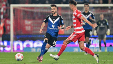 Photo of HSV schockt Fans: Zwei Stars zurück, doch einer bleibt außen vor!